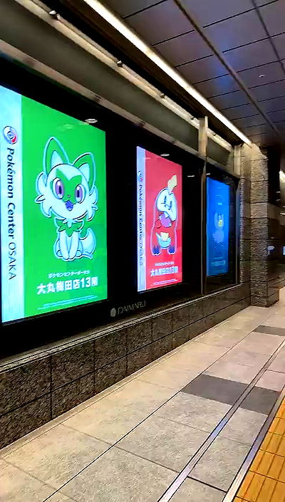 sophieraiin sophieraiin archive video