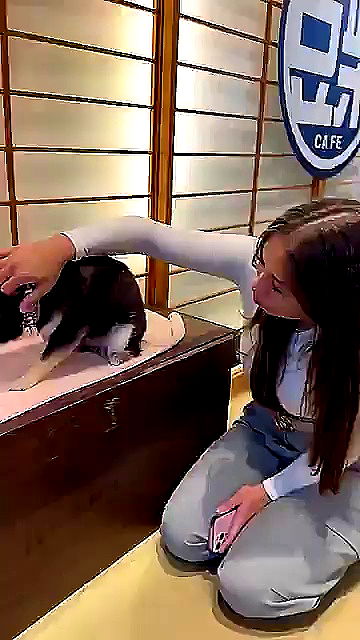 sophieraiin sophieraiin archive video