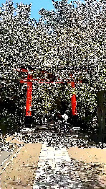 sophieraiin sophieraiin archive video