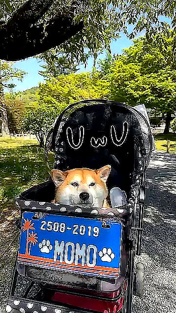 sophieraiin sophieraiin archive video