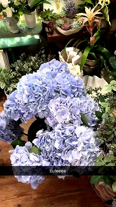 sophieraiin sophieraiin archive video