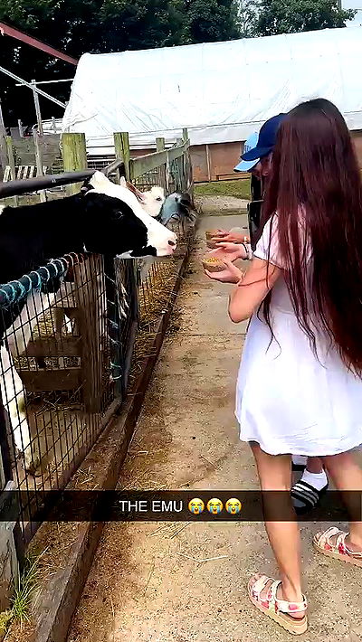 sophieraiin sophieraiin archive video