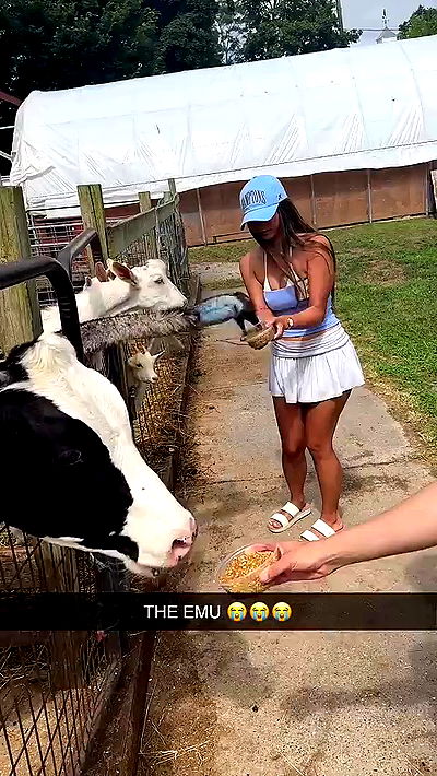 sophieraiin sophieraiin archive video