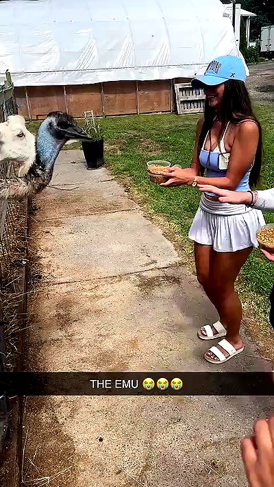 sophieraiin sophieraiin archive video