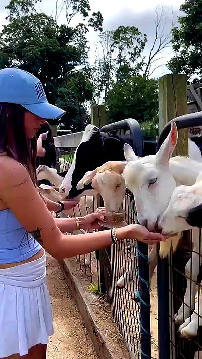 sophieraiin sophieraiin archive video