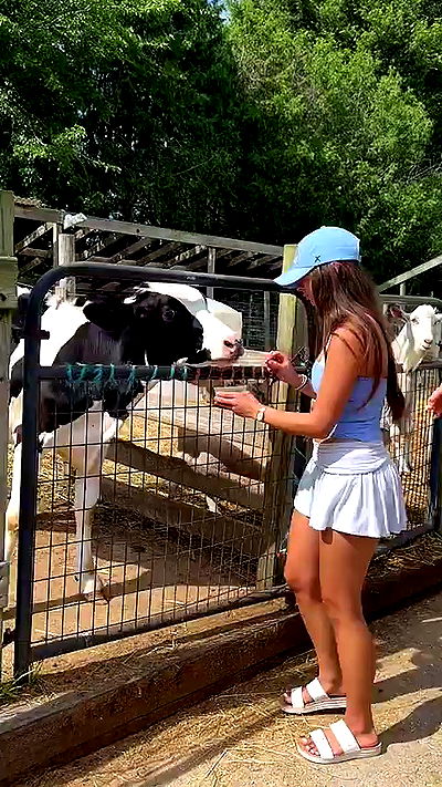 sophieraiin sophieraiin archive video