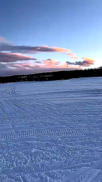 sophieraiin sophieraiin archive video