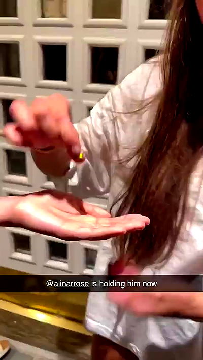 sophieraiin sophieraiin archive video