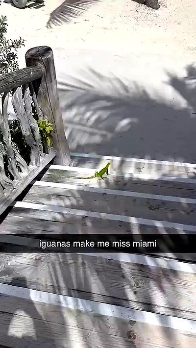 sophieraiin sophieraiin archive video