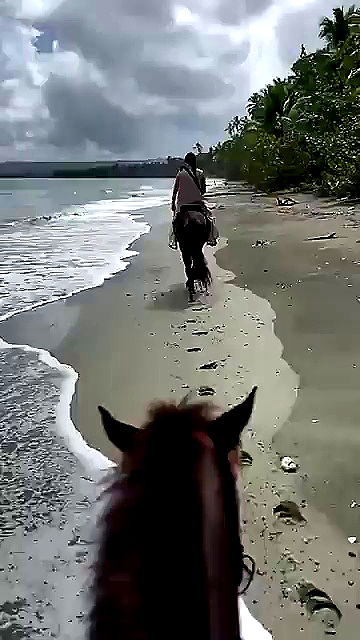 sophieraiin sophieraiin archive video