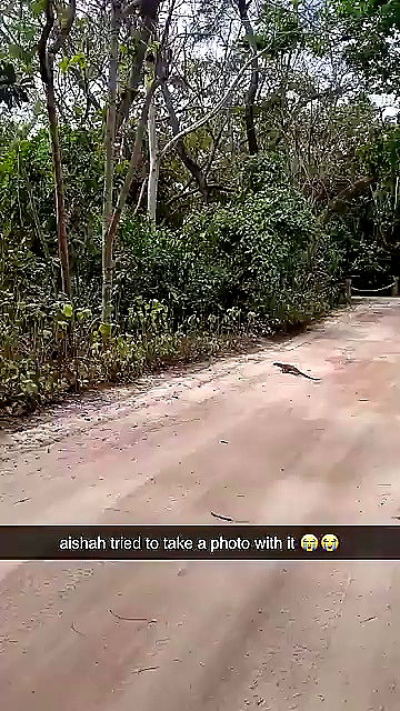 sophieraiin sophieraiin archive video