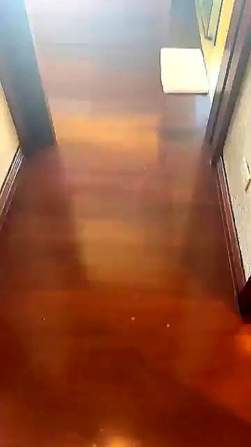 sophieraiin sophieraiin archive video