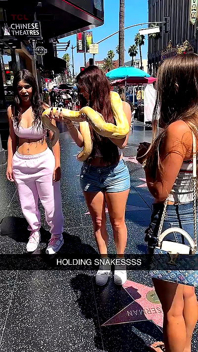 sophieraiin sophieraiin archive video