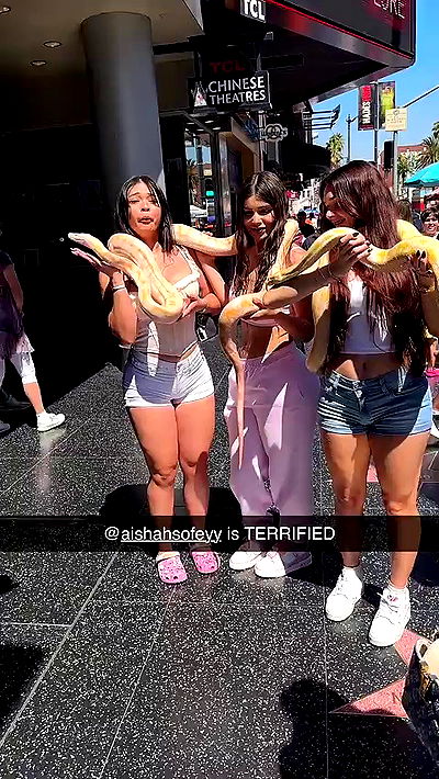 sophieraiin sophieraiin archive video