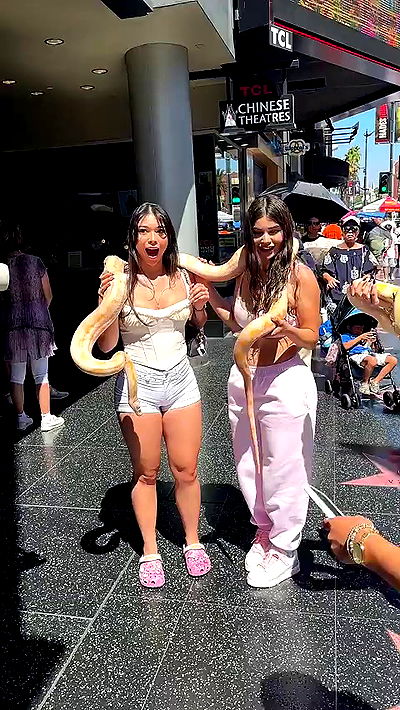 sophieraiin sophieraiin archive video