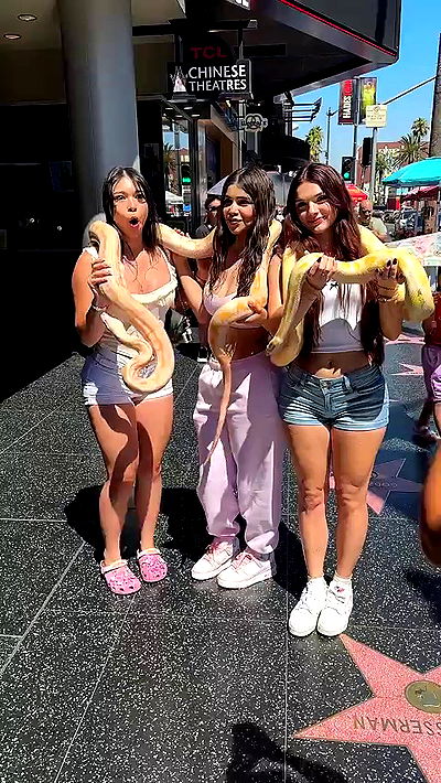 sophieraiin sophieraiin archive video