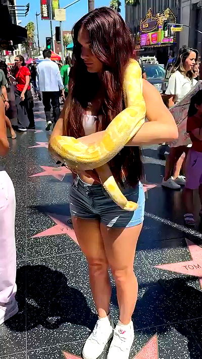 sophieraiin sophieraiin archive video