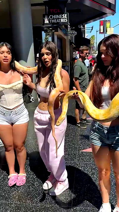 sophieraiin sophieraiin archive video