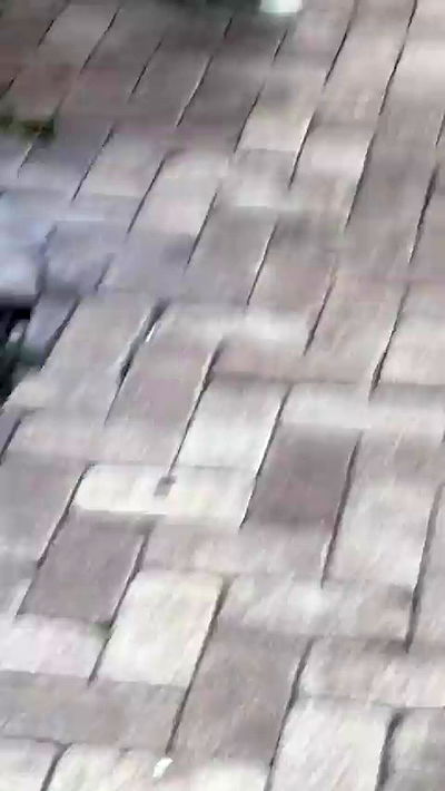 sophieraiin sophieraiin archive video