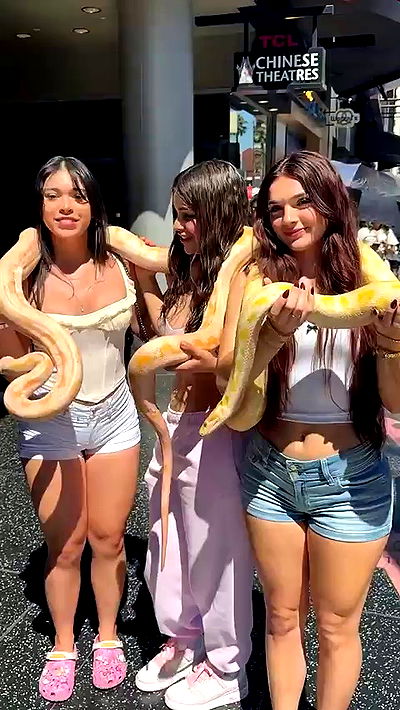 sophieraiin sophieraiin archive video