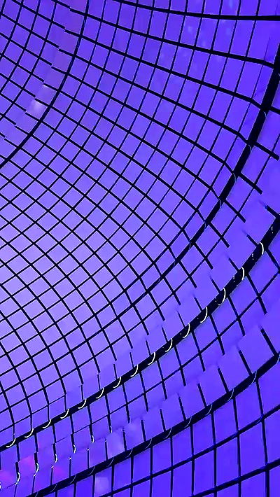 sophieraiin sophieraiin archive video