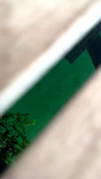 sophieraiin sophieraiin archive video