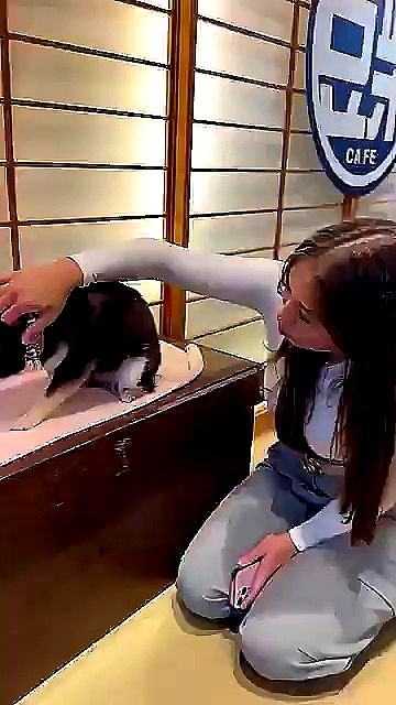 sophieraiin sophieraiin archive video