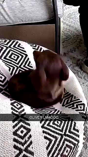 sophieraiin sophieraiin archive video