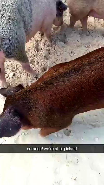 sophieraiin sophieraiin archive video