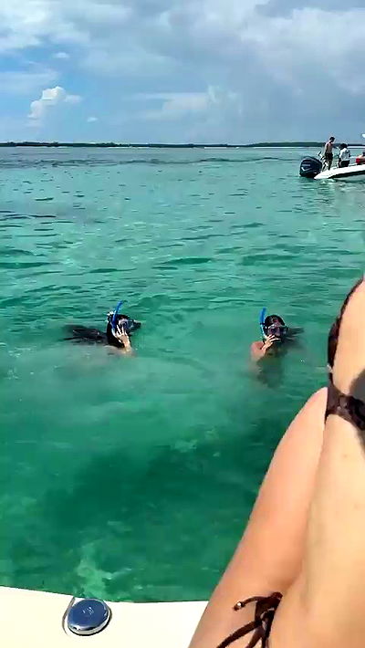 sophieraiin sophieraiin archive video