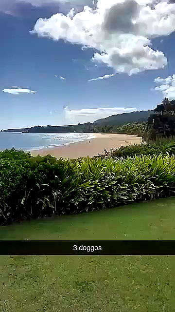 sophieraiin sophieraiin archive video