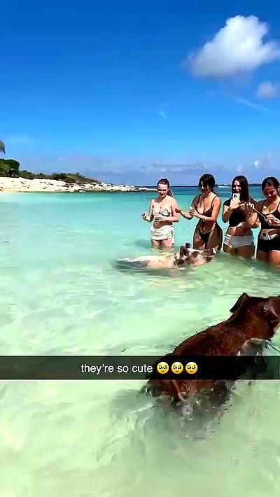 sophieraiin sophieraiin archive video