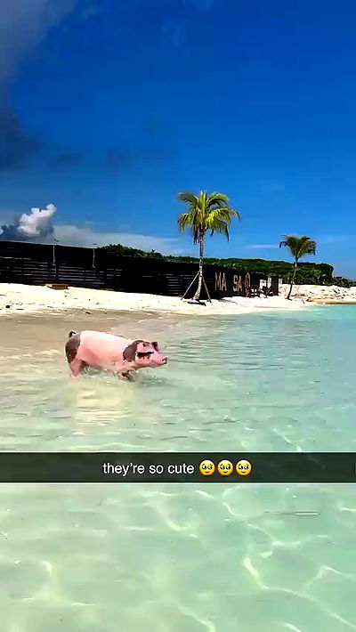 sophieraiin sophieraiin archive video