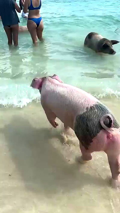 sophieraiin sophieraiin archive video