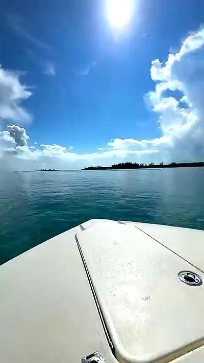 sophieraiin sophieraiin archive video