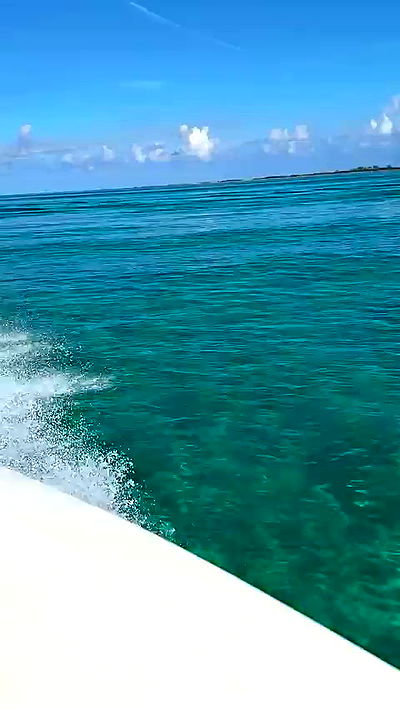 sophieraiin sophieraiin archive video