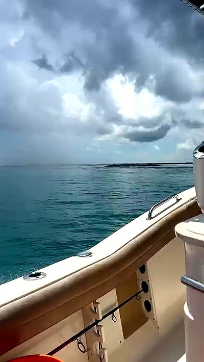 sophieraiin sophieraiin archive video