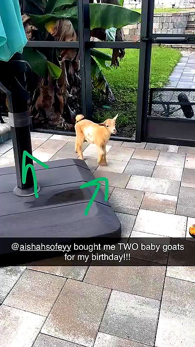 sophieraiin sophieraiin archive video