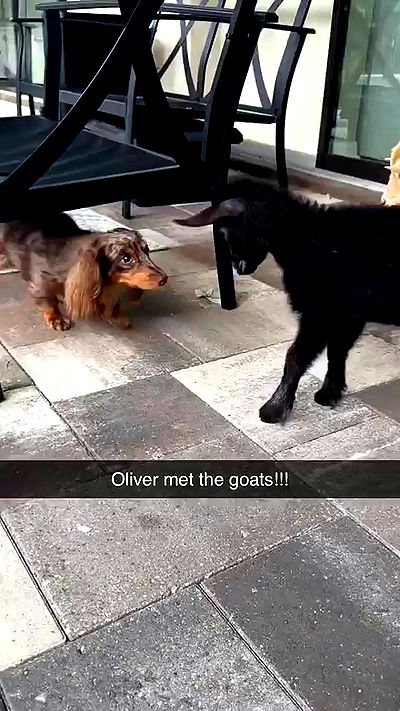 sophieraiin sophieraiin archive video