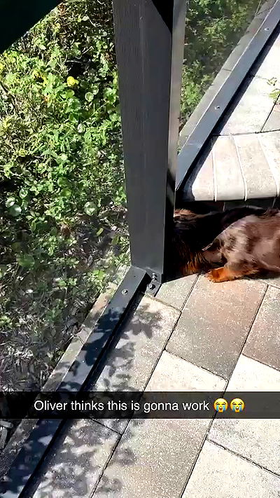 sophieraiin sophieraiin archive video