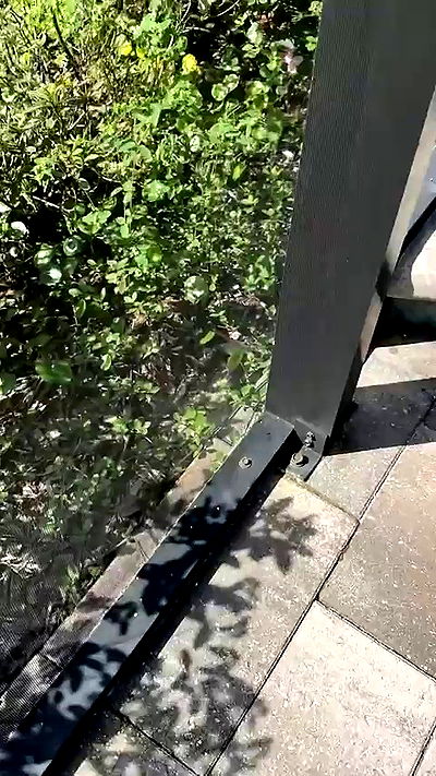 sophieraiin sophieraiin archive video