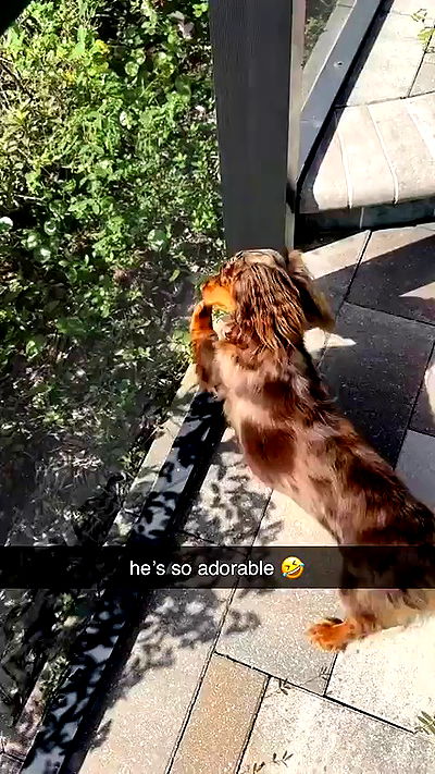 sophieraiin sophieraiin archive video