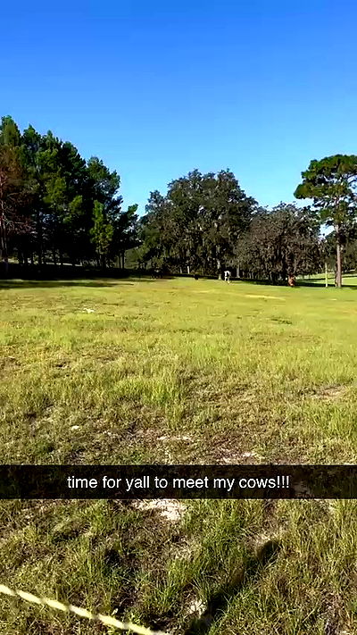 sophieraiin sophieraiin archive video