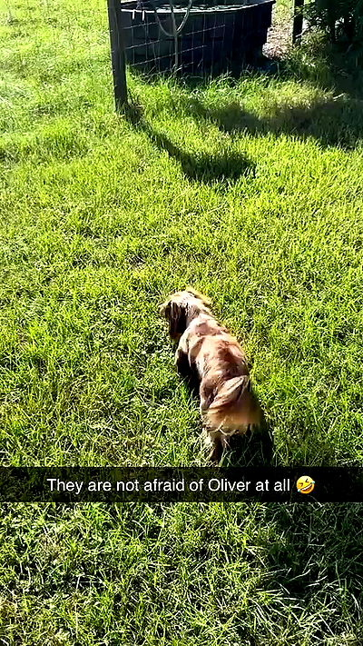 sophieraiin sophieraiin archive video