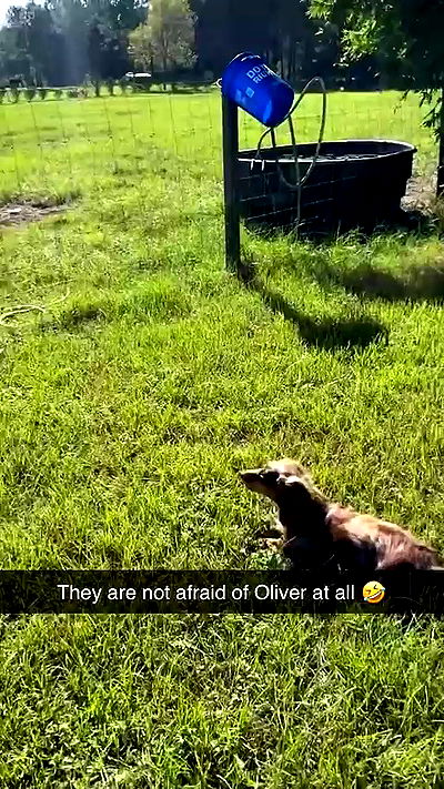 sophieraiin sophieraiin archive video