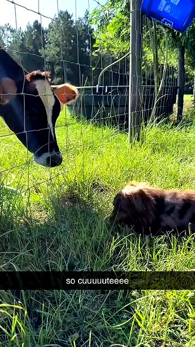 sophieraiin sophieraiin archive video