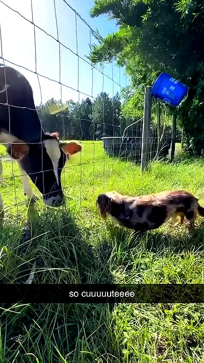 sophieraiin sophieraiin archive video