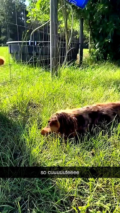 sophieraiin sophieraiin archive video