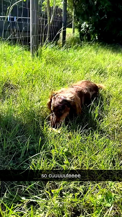 sophieraiin sophieraiin archive video