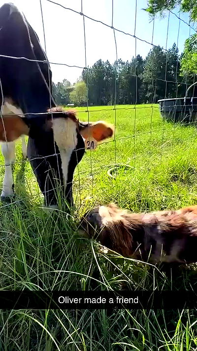 sophieraiin sophieraiin archive video